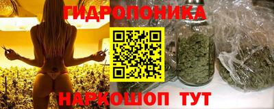 прущие грибы Северобайкальск