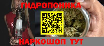 прущие грибы Северобайкальск