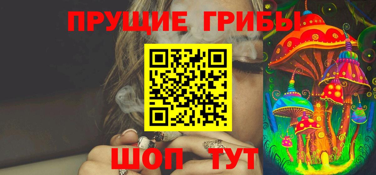Псилоцибиновые грибы мицелий Новодвинск