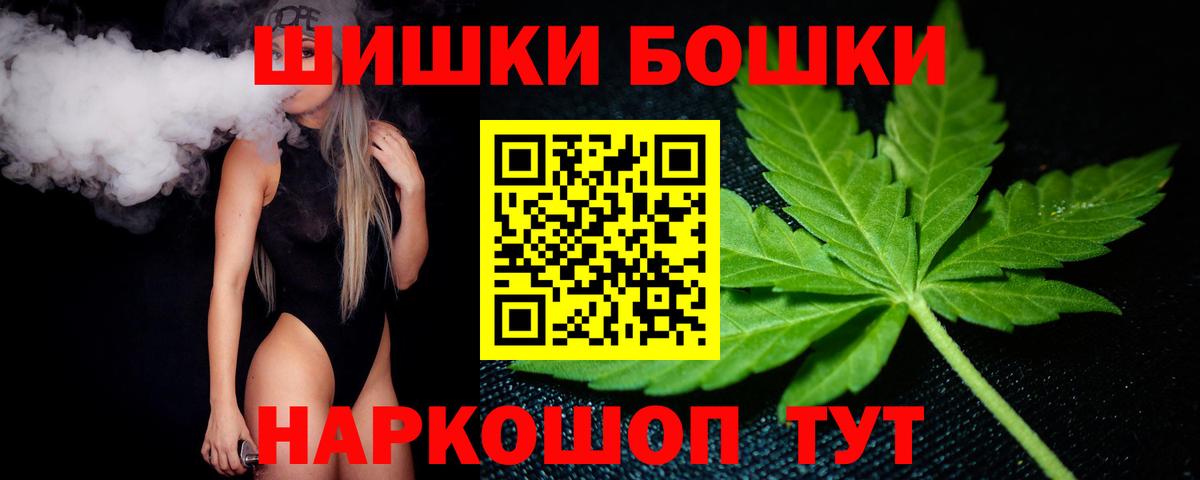 Каннабис сатива Новодвинск